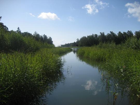 Vassbevuxen flada mellan Lövöarna